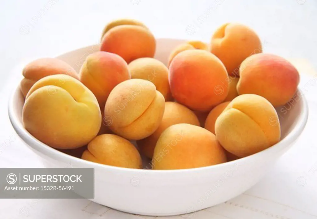 A bowl of Blenheim apricots