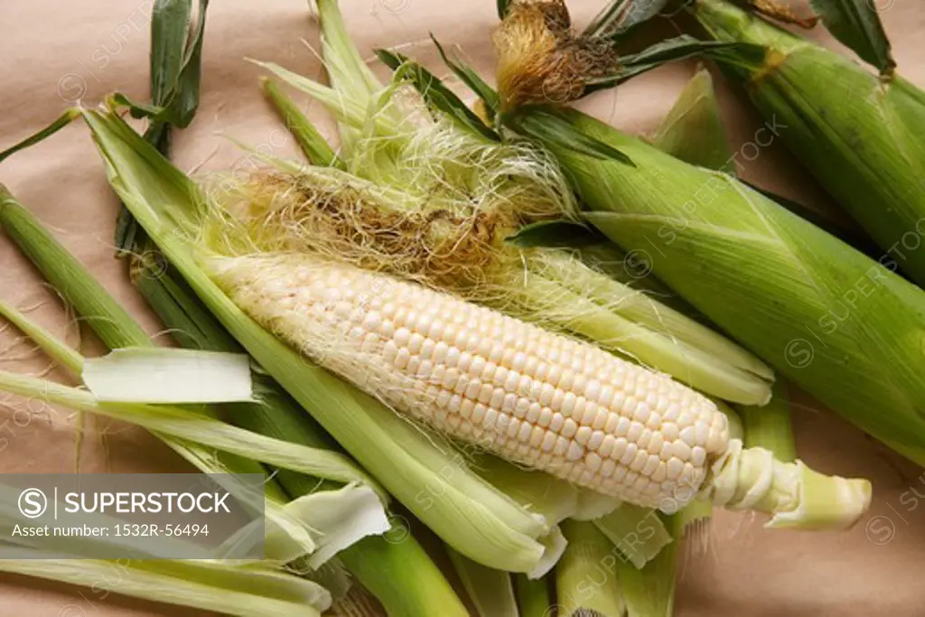Corn cobs with and without butter
