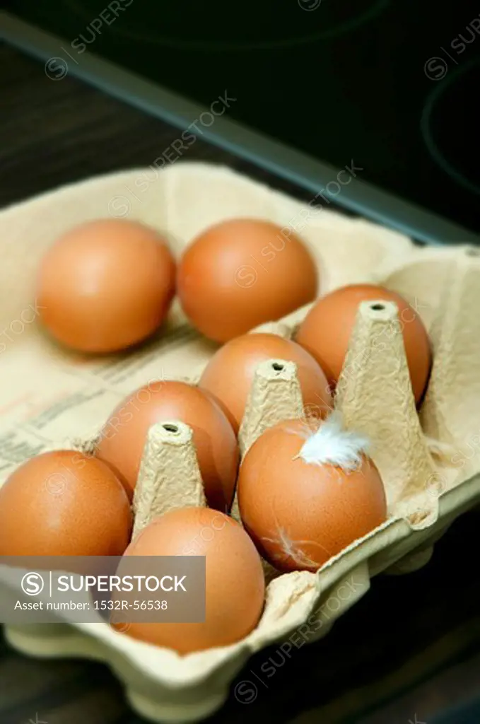 Eggs in an egg box with a feather