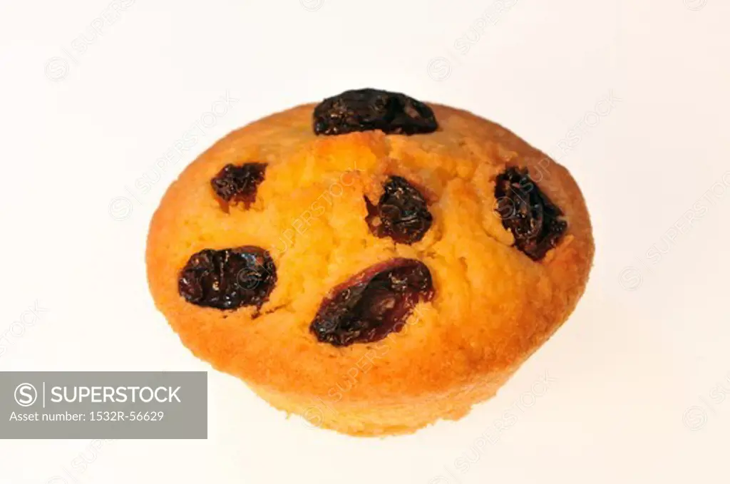 A raisin muffin