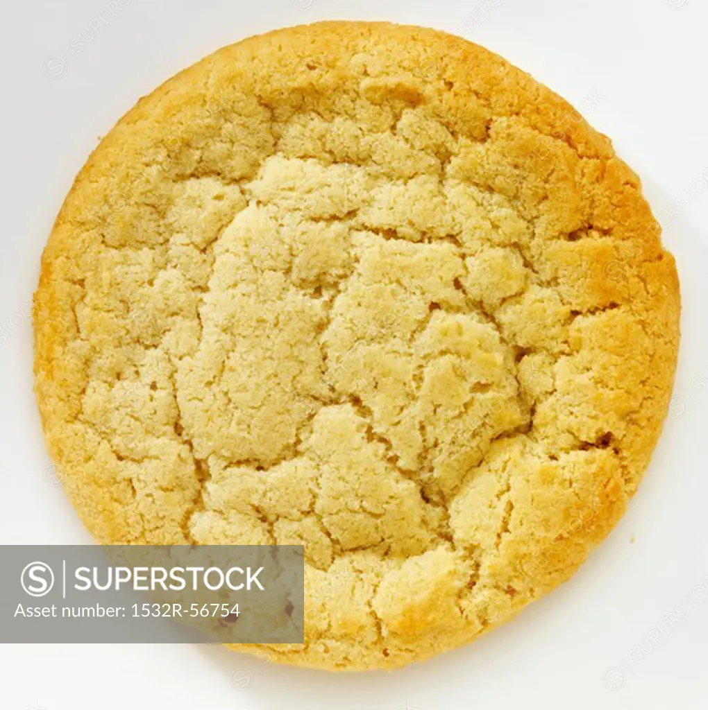 A Single Sugar Cookie; White Background