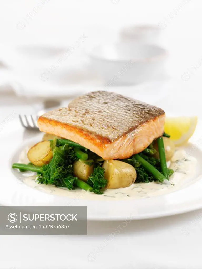 Salmon trout fillet on broccoli and potatoes