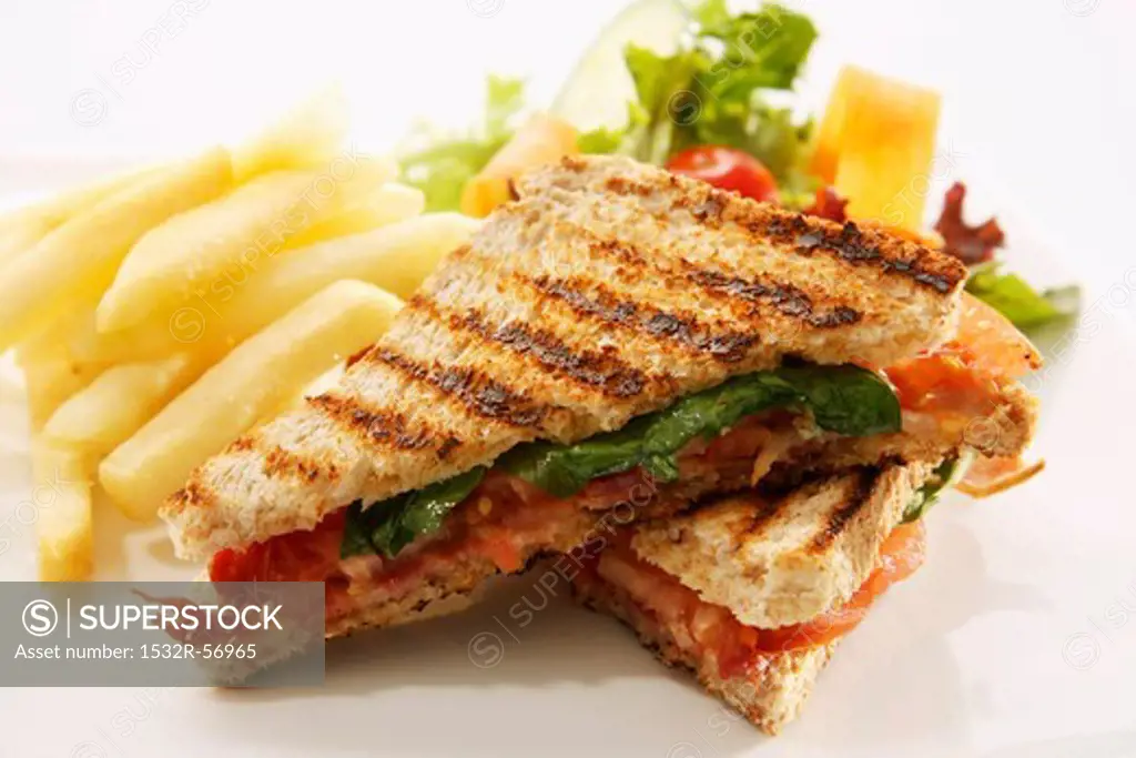 Toasted cheese and tomato sandwich with chips and a salad