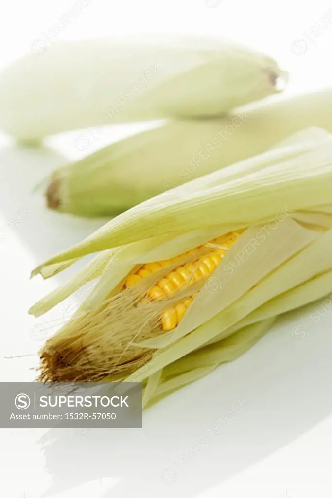 Corn cobs