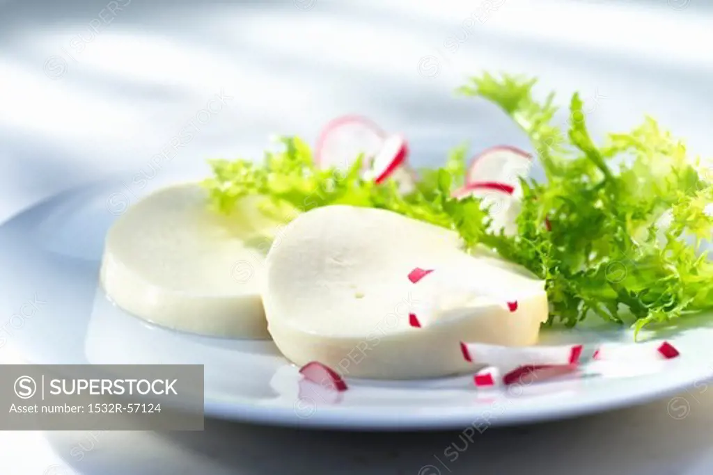 Mozzarella with radishes and frisee lettuce