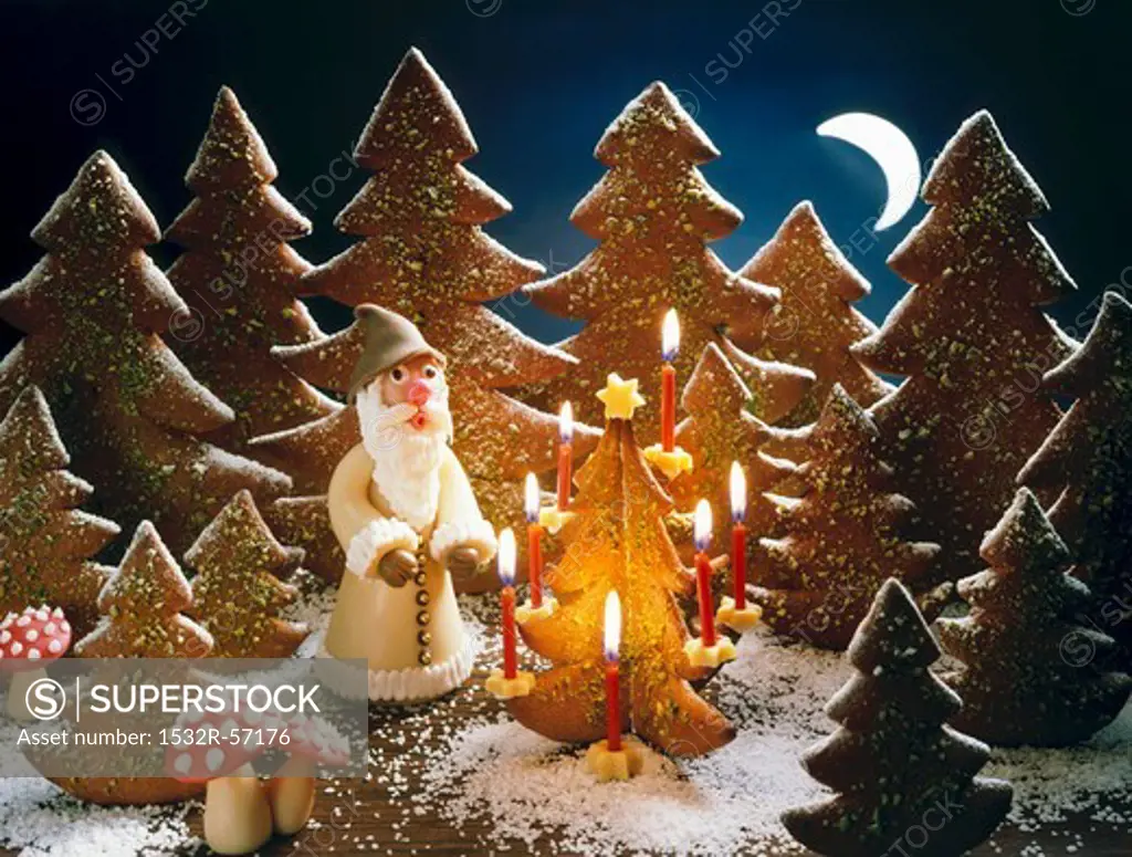 A Christmas forest scene with Father Christmas