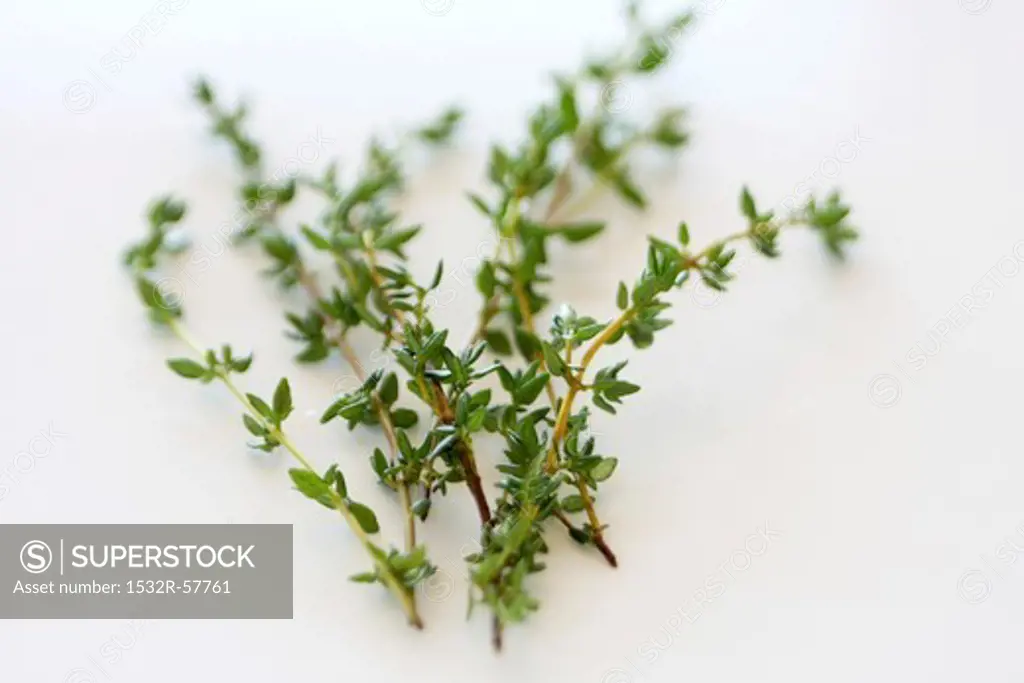 Thyme (close-up)