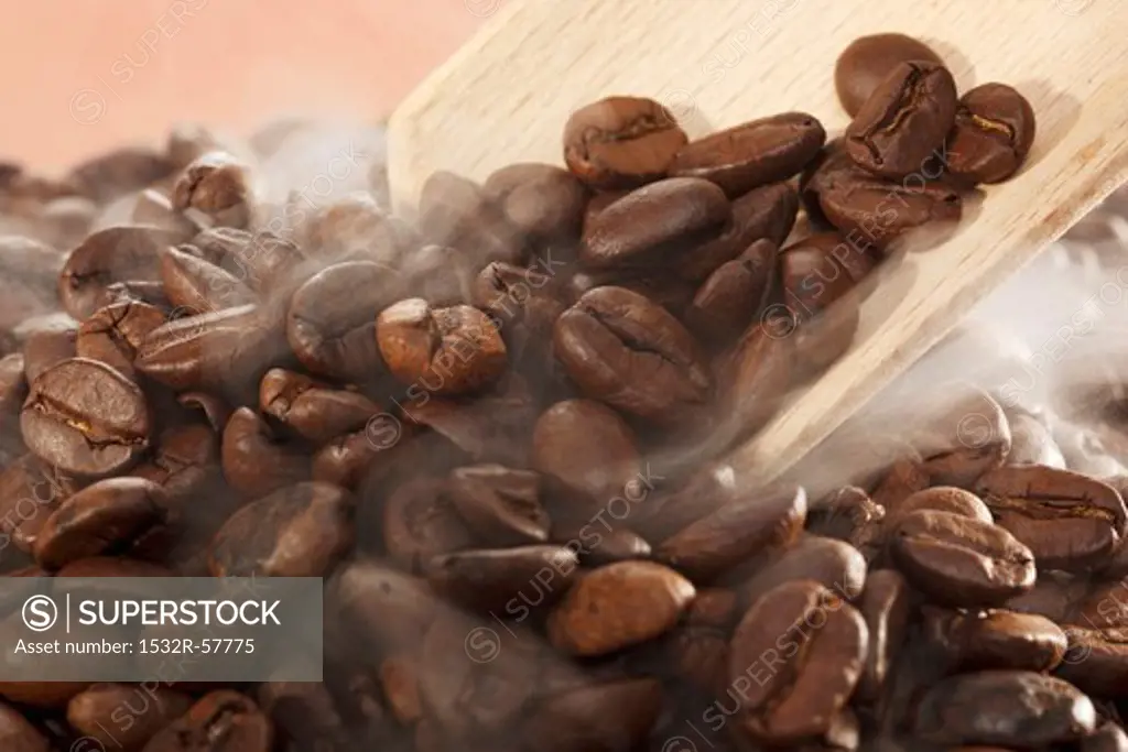 Steaming coffee beans with a scoop