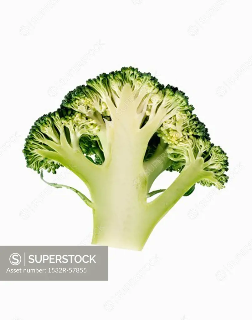 Half of a Broccoli Crown; White Background
