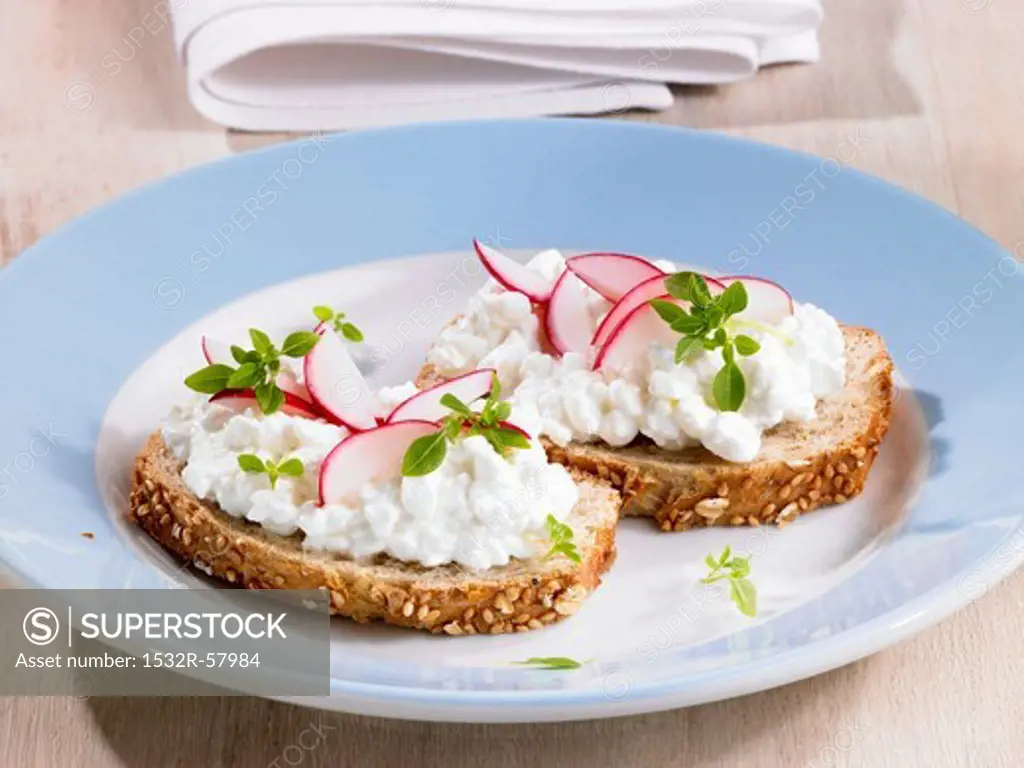 Cottage cheese and radishes on bread
