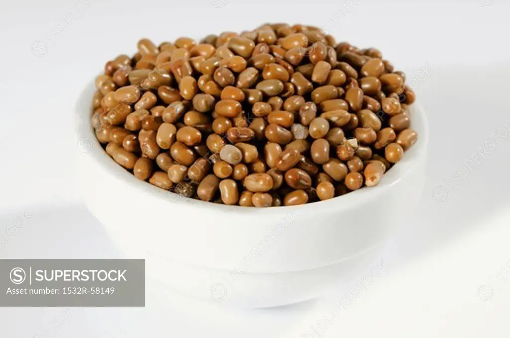 Brown beans (moth beans) in ceramic bowl