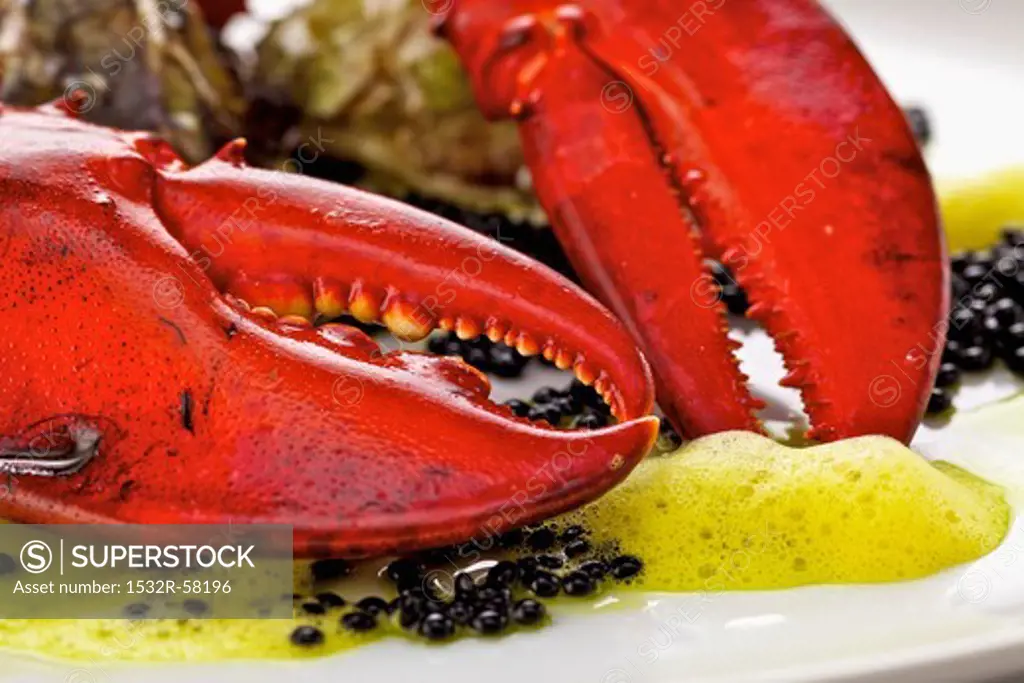 Lobster, caviar and oysters on plate (close-up)