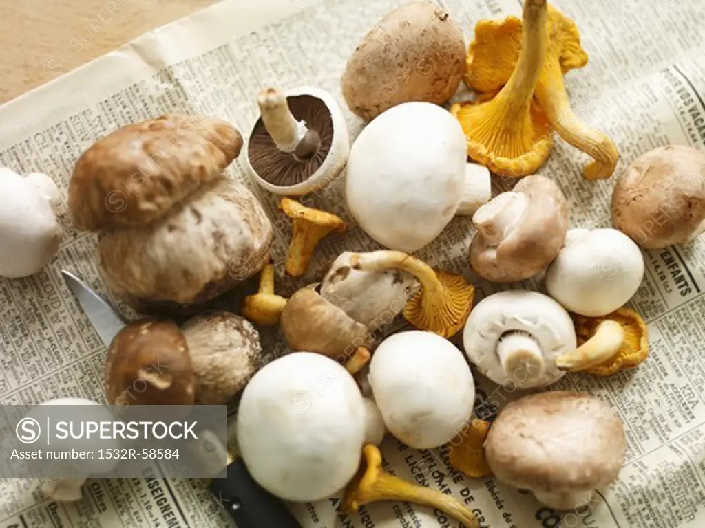 Porcini mushrooms, chanterelle mushrooms and button mushrooms with a knife on a piece of newspaper