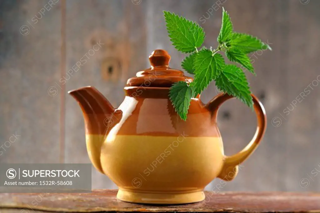 A pot of nettle tea