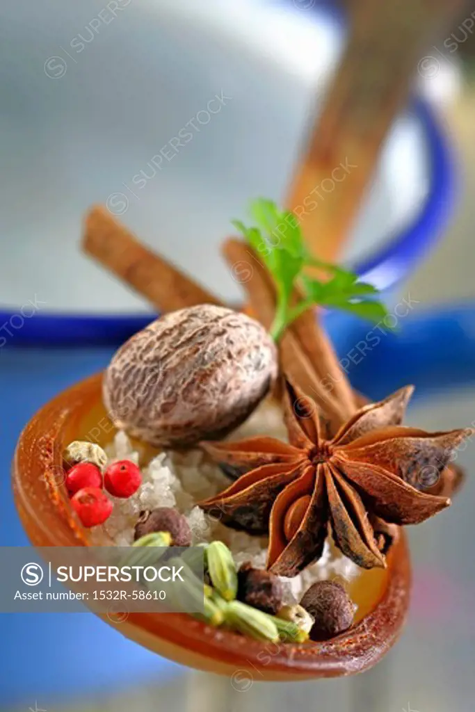 Various spices on a mixing spoon