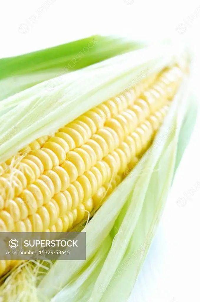 Corn on the cob with husks (close-up)