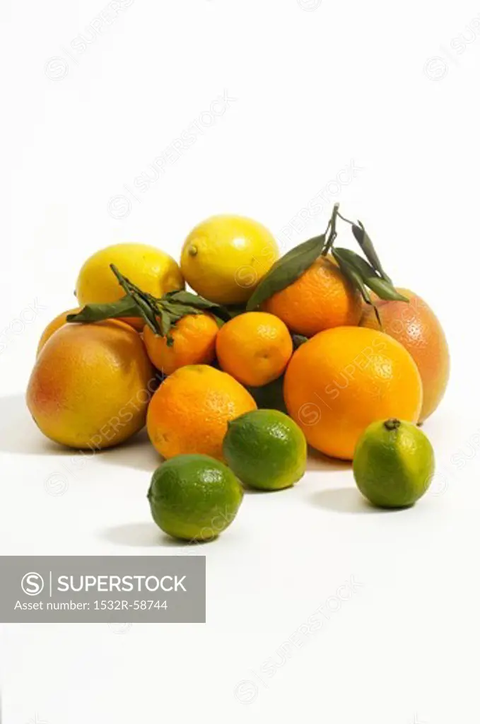 Various citrus fruits against a white background