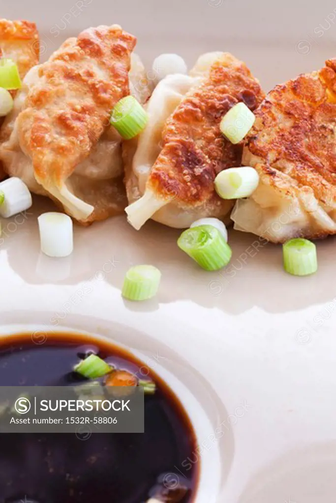 Shrimp Potstickers with Green Onion and Ponzu Dipping Sauce