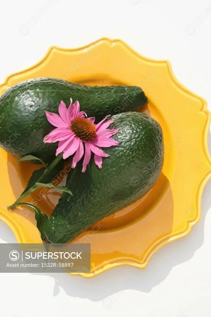 Two avocados with an echinacea flower on a yellow plate