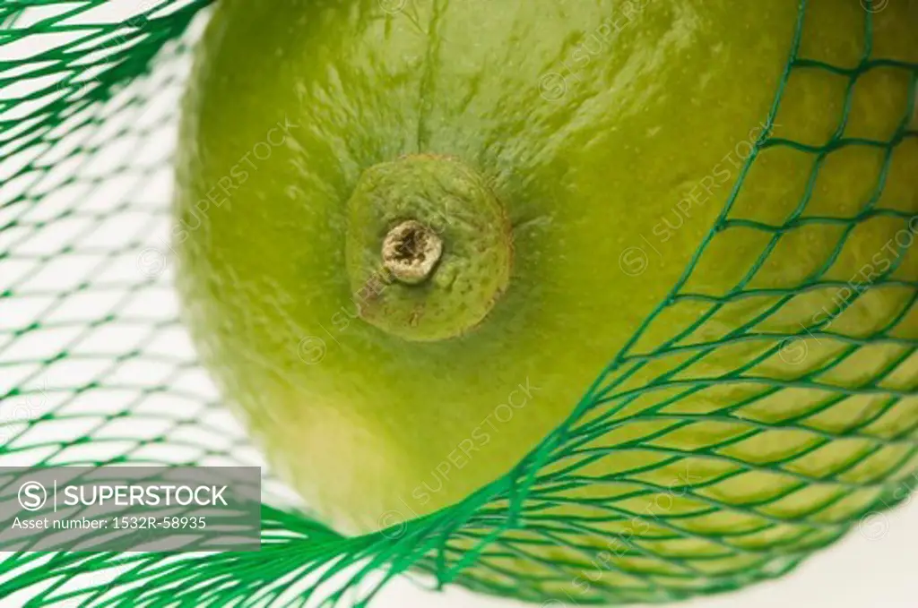 A lime in a net