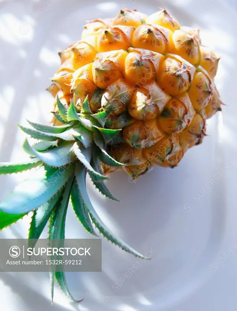 A baby pineapple