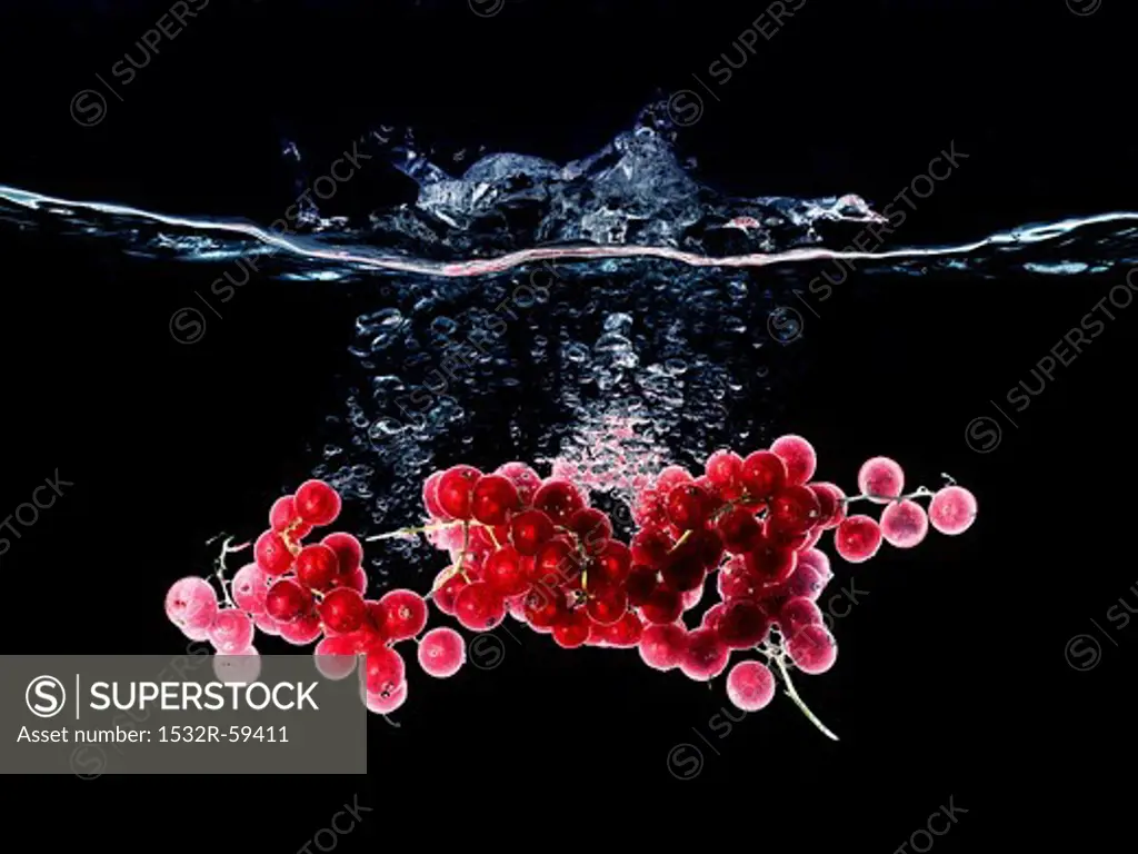 Redcurrants falling into water