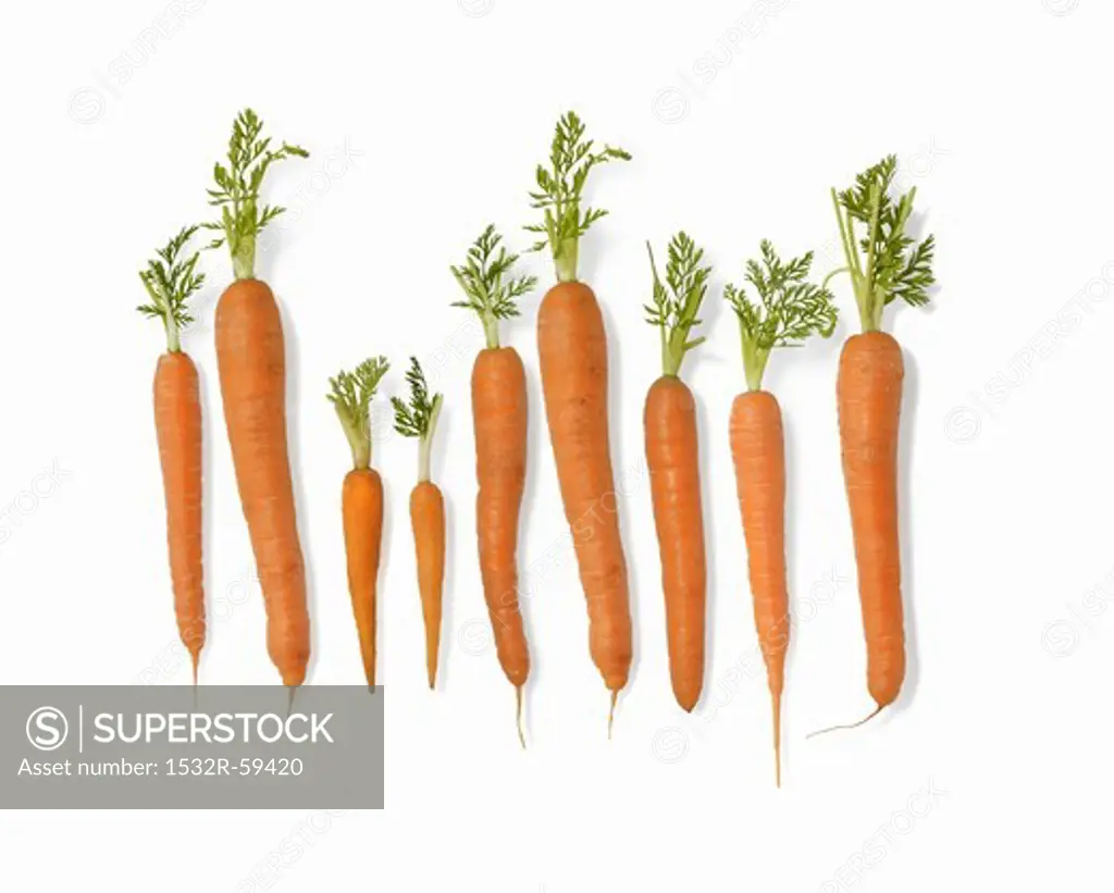 Fresh carrots (diagram)
