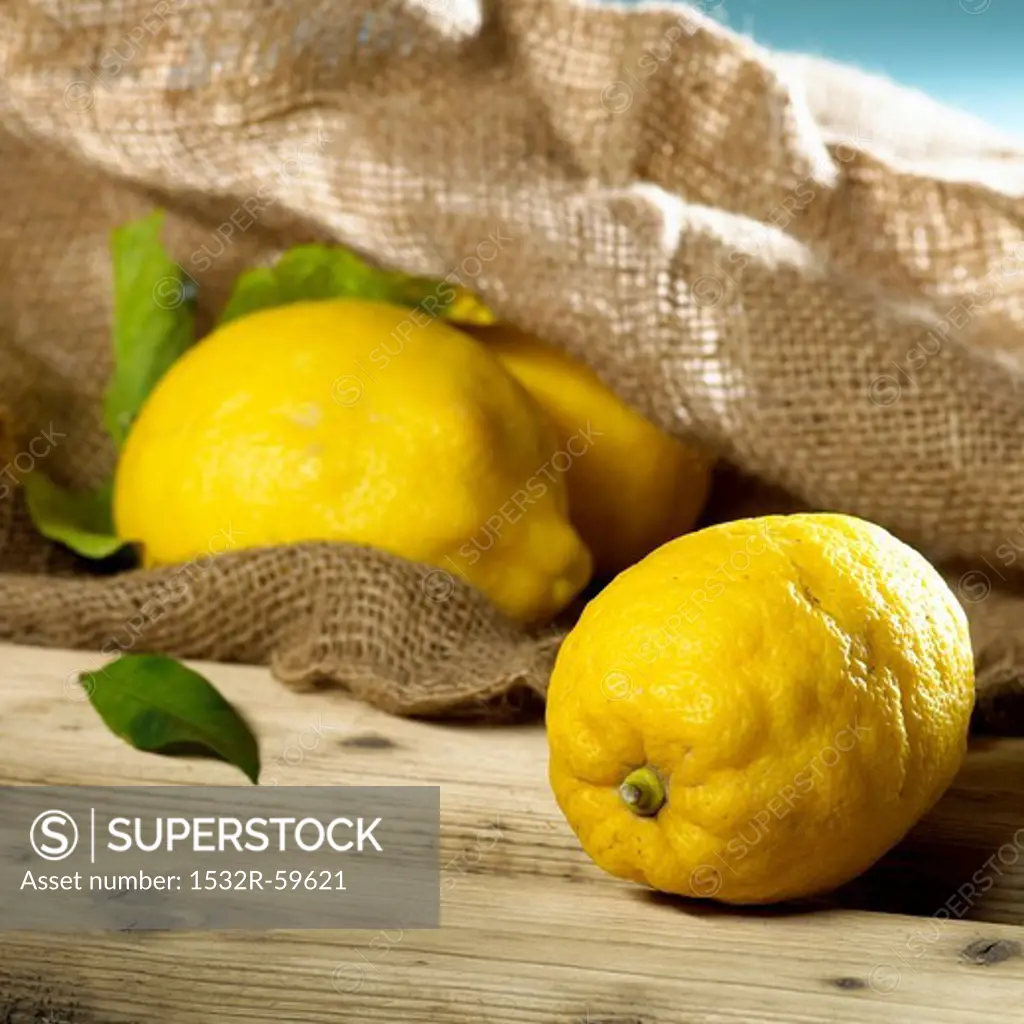 Lemons with a hessian sack