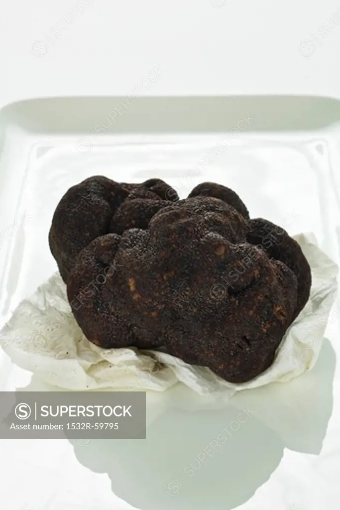 A Perigord truffle on paper
