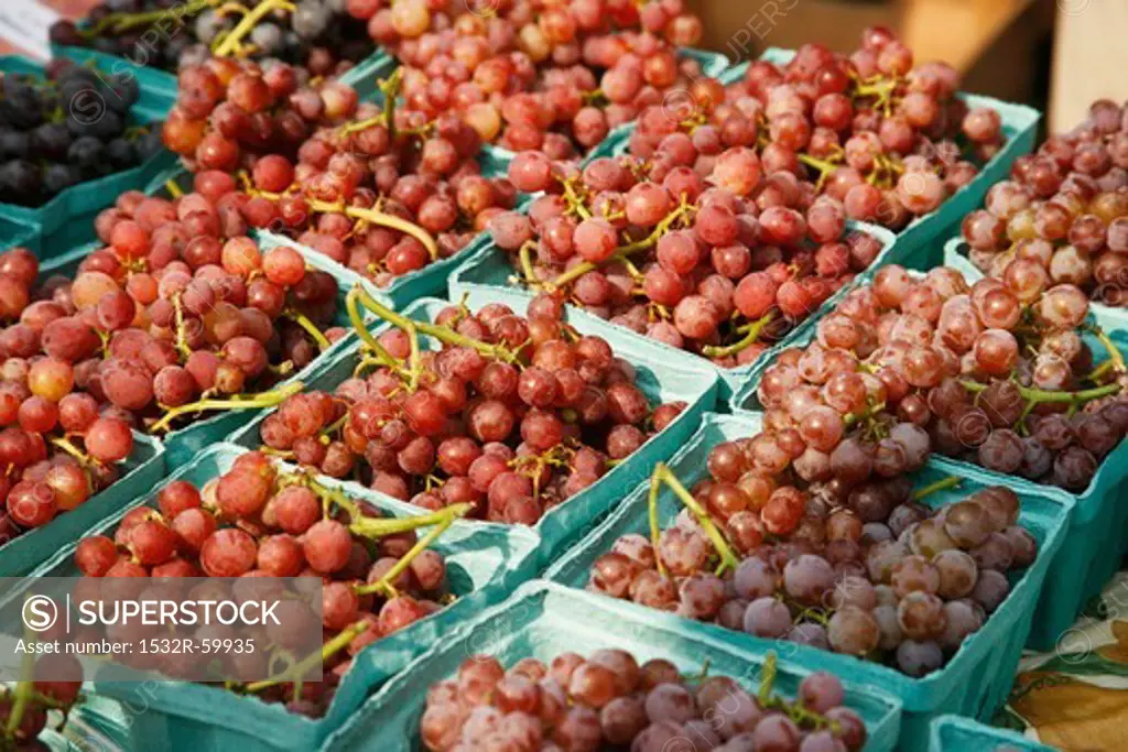 Organic Red Grapes at Farmer's Market