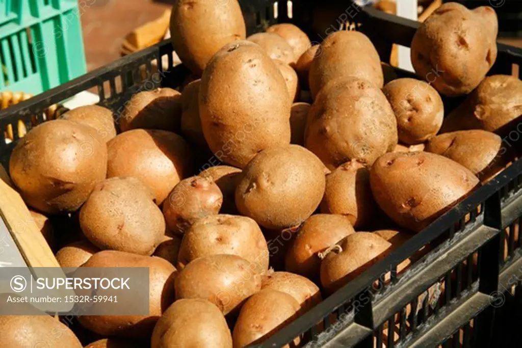 Fresh Organic Potatoes in Crates at Farmer's Market