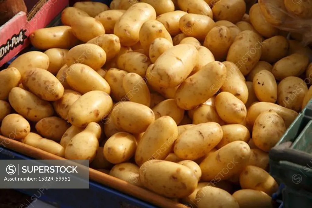 Organic Potatoes at Farmer's Market in Bantry, Ireland