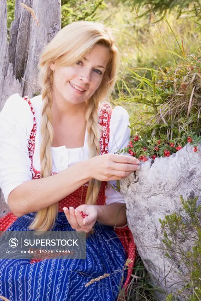 A woman in a dirndl picking lingonberries in a forest
