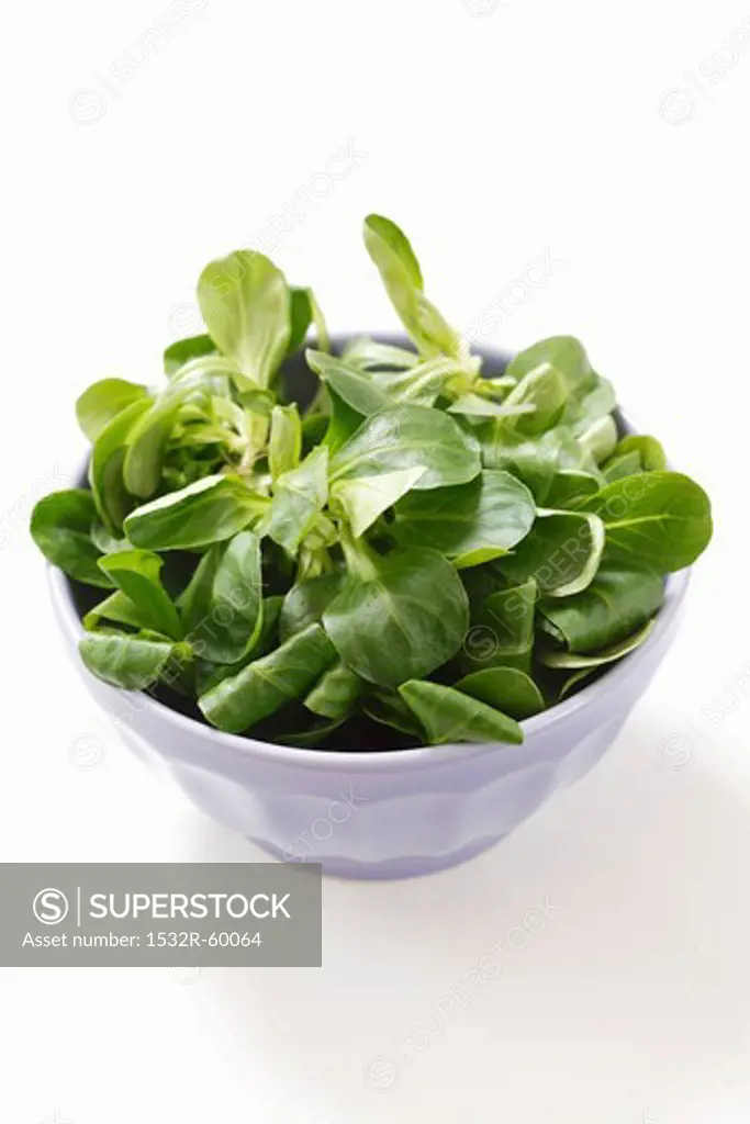 Fresh lamb's lettuce in a bowl