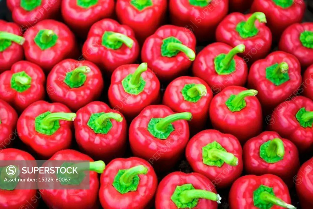 Lots of red peppers (macro zoom)