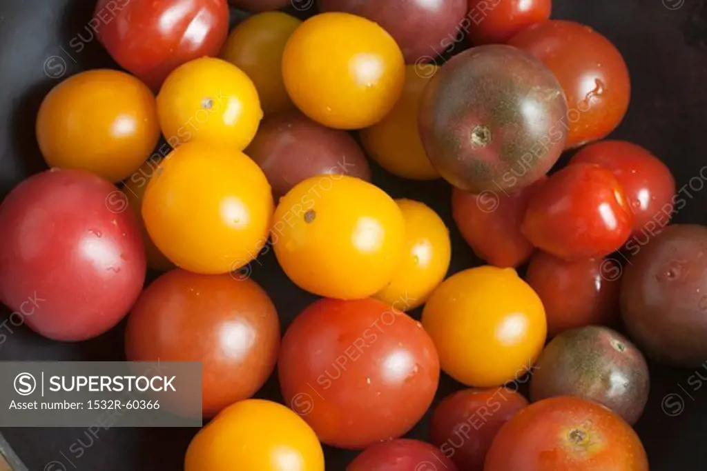 Colorful Mini Heirloom Tomatoes