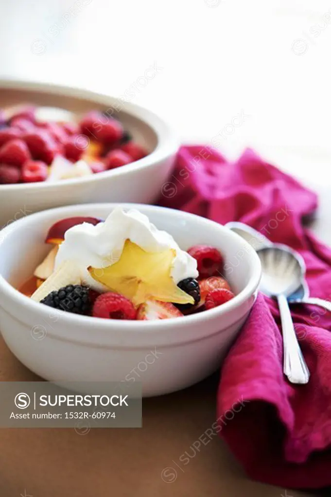 Bowl of Mixed Fruit with Yogurt