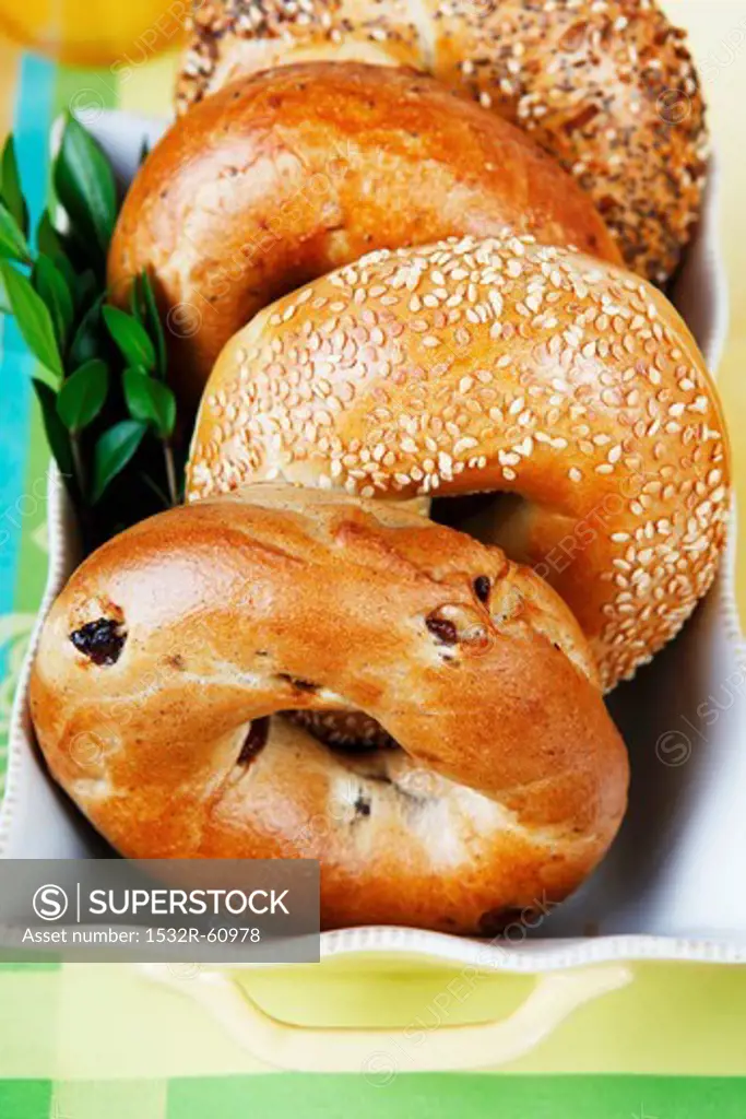 Assorted Bagels on a Tray