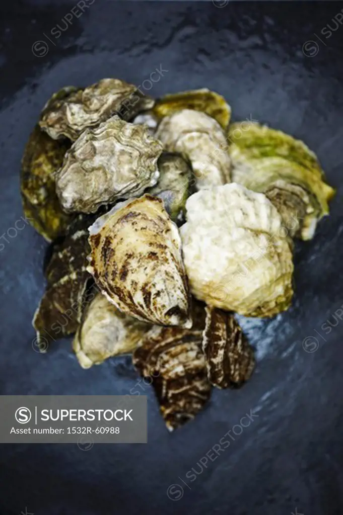 Assorted Fresh Oysters