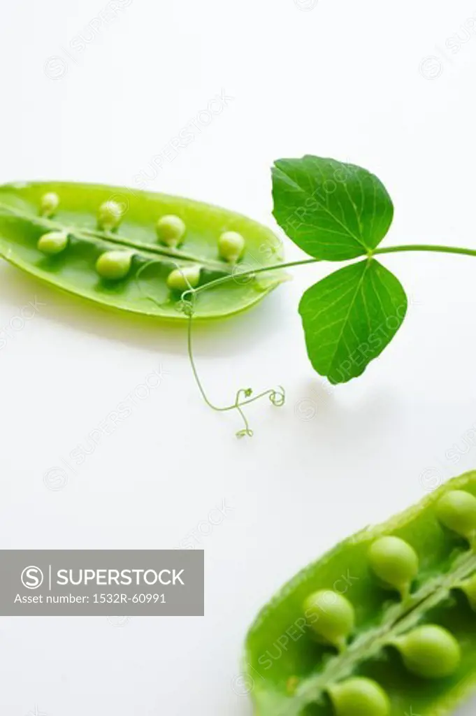 Fresh Peas in the Pod; White Background