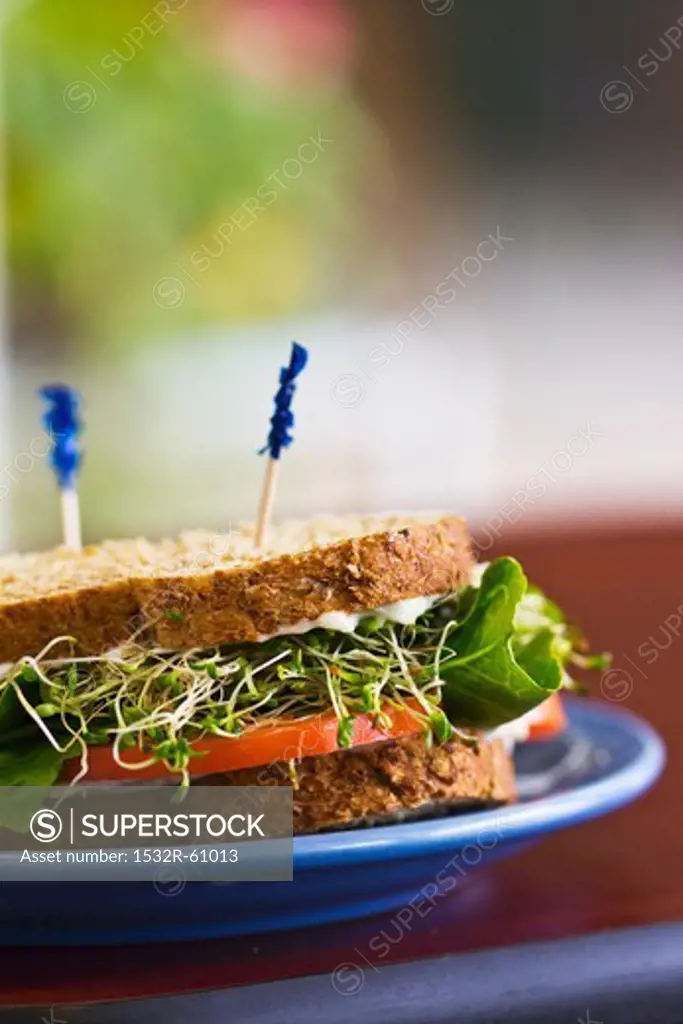Vegetable Sandwich on Whole Wheat Bread