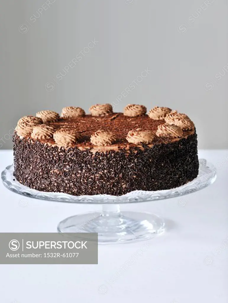 A chocolate cake with chocolate strands