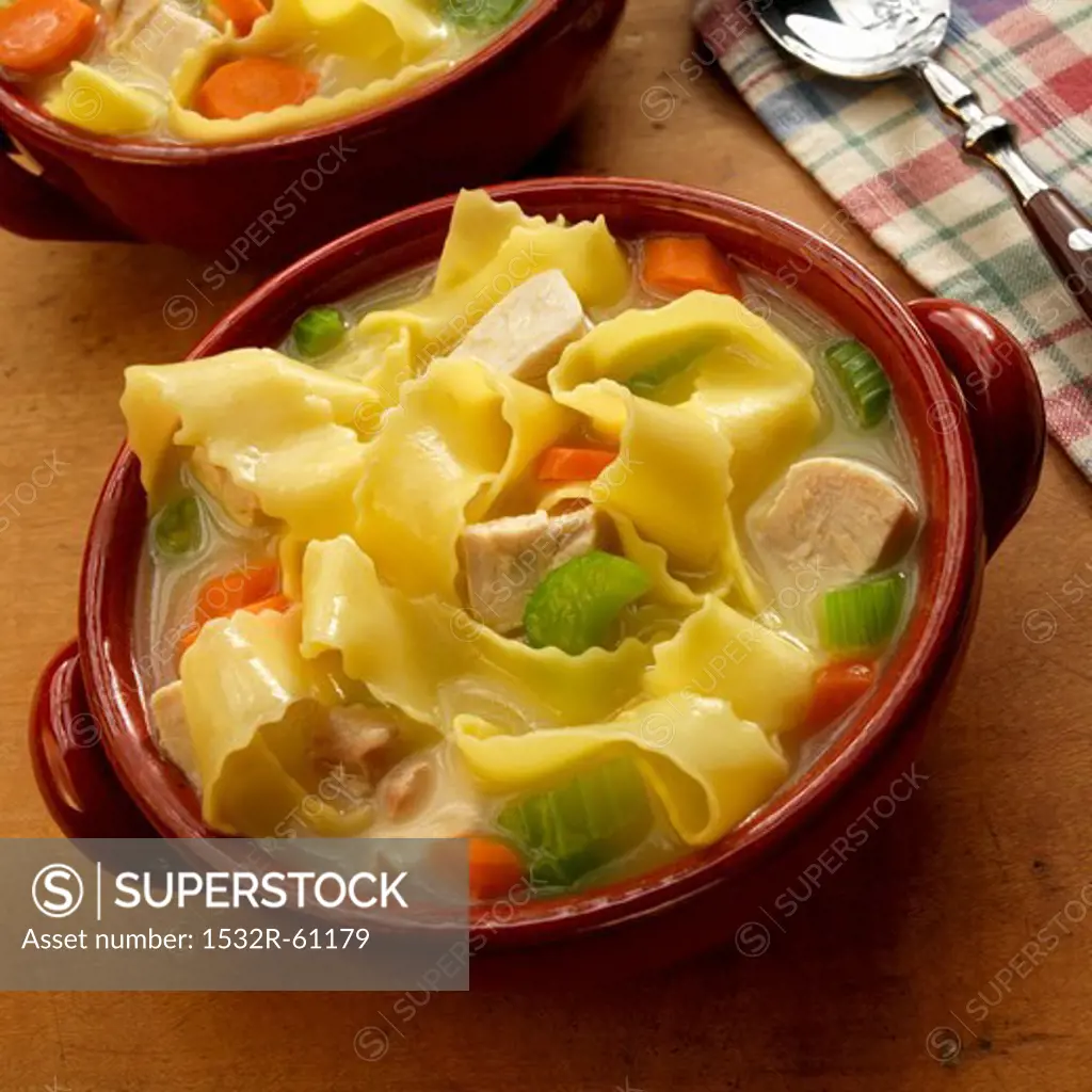 Chicken Noodle Soup Made with Wide Egg Noodles; In a Bowl