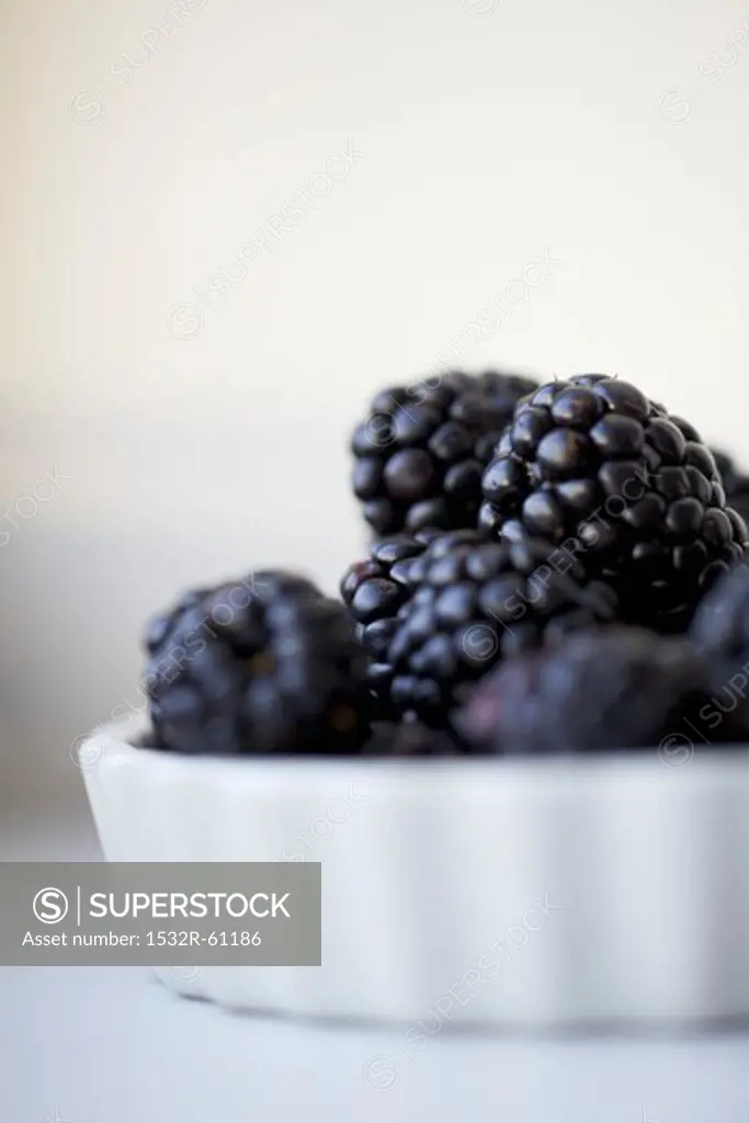 Fresh Blackberries in a White Tart Dish