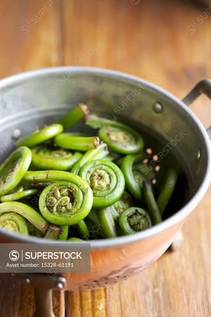 Colander of Fiddleheads on a Wooden Table