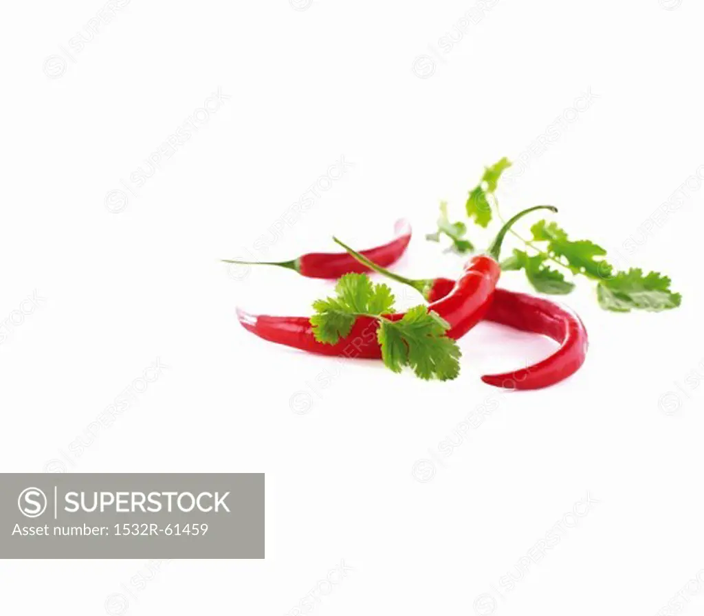 Chili peppers and cilantro