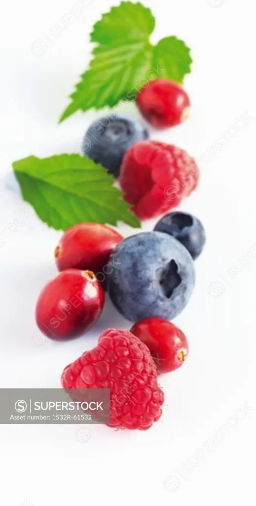 Raspberries, blueberries and cranberries with leaves