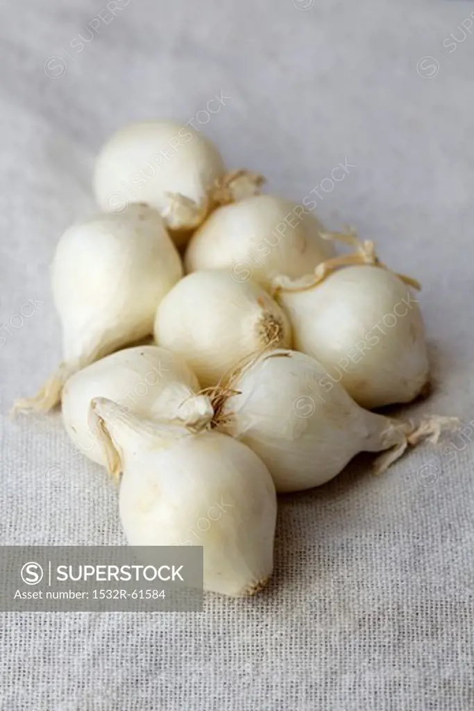 Small White Onions on Cloth