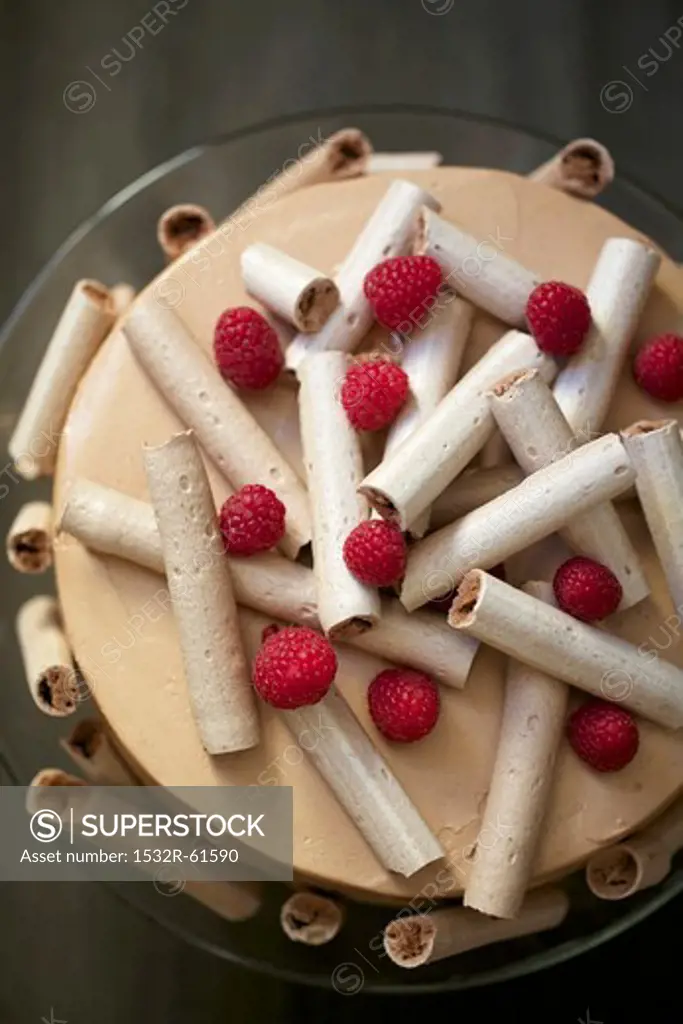 Chocolate Cake with Meringue Flutes and Raspberries; From Above