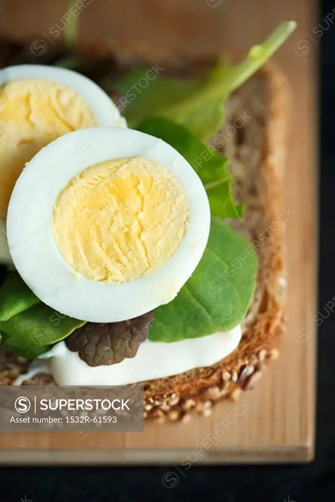 Sliced Boiled Egg with Lettuce and Mayo on a Slice of Whole Wheat Bread; From Above